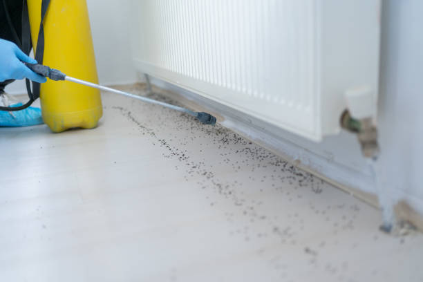Best Wildlife Control Services  in Newport, DE